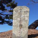 김해김씨 열녀비 이미지