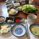 신안리자연산장어집
