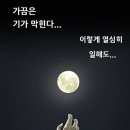 '달' 바라보며 "기가 막힌다"..기안84, 文정권 때리기? '시끌' 이미지