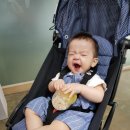 네일블라썸 이미지