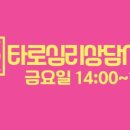 타로심리상담사 3급 이미지