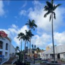 호텔프리모 이미지