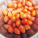 토마토청과