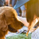 봄날동물병원 이미지