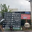 오후독 | 가평 애견동반펜션 추천 애견수영장이 있는 가평 투독플레이스 201호 숙박 후기