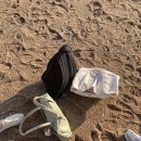 청춘바다 이미지