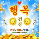 풀풀풀