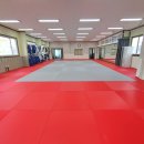 용인대정진유도교실 화원관 이미지