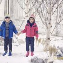 투스카로라 이미지