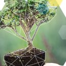 (주)팜크로스 이미지