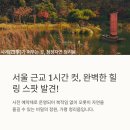 약초산방 | 🎯 경기도 가평 가볼만한곳, 청리움 당일치기 피크닉! 티타임 프로그램 완벽 후기 (준비물 ZERO)