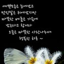 즐거운 이미지