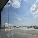 이동-12 | W16-12. 코사무이 신혼여행 이동 방법 + 공항 후기｜방콕 환승 &amp; 경비행기 꿀팁·지연 주의사항