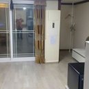 외도펠리스 이미지