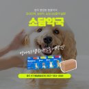 소담약국 이미지