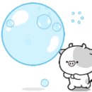 비바체피아노학원 이미지