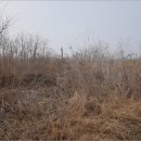 창녕군길곡면오호리보건진료소 | {경남창녕군토지(답)경매} 창녕군 길곡면 오호리 # 2019타경444 #