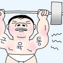 더 케이 짐 이미지