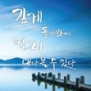 모아메