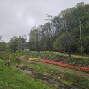 초막골생태공원 이미지