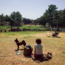 정화목장 이미지