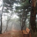 예산-01 이미지