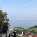 초록마을(경상남도 삼천포점) | 2026 봄맞이 고진스 남해여행 1) 남해갈때 회포장은 삼천포 용궁사수산시장 땡초김밥 같이먹으면 구우웃