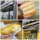 시니롱 | 여수 맛집 노랑고래 도너츠, 시니롱 마카롱 구매 솔직 후기!(ft.여수언니 정혜영)