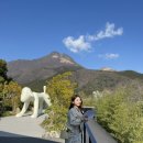 유노광학 | 후쿠오카 유후인가볼만한 곳| COMICO ART 미술관 예약 및 관람후기