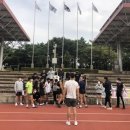 팀크레모아 이미지