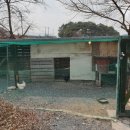 달빛이머무는펜션 - 임실군 운정길 110 | 달빛이머무는펜션