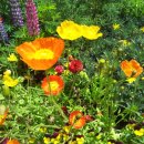 쌍문셀프주유소 이미지