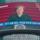 스텔라영