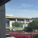 [고창 맛집/카페]겉바속촉 번의 진수 고창 디저트카페 스위트번스 후기
