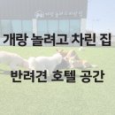 개랑 놀려고 차린 집