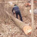 서삼농장 이미지