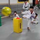 팡팡태권도장 이미지