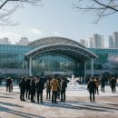 국가대표 한류스타태권도장 | 차준환 신지아 이해인 피겨 종합선수권대회 우승.. 올림픽 국가대표 선발