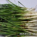 으뜸농장 이미지