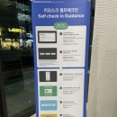 세븐일레븐 속초마리비스타점 | 속초 속초해수욕장 근처 가성비 호텔 추천 내돈내산 스탠다드 주차 [속초 마리 비스타 호텔]