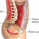 코어핏PT&필라테스 이미지