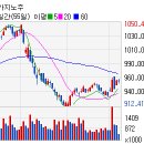 강원옵틱 이미지