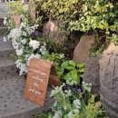 (주)남산 | [결혼식장👰‍♂️💓🤵] 남산한남웨딩가든💒 &#39;더 아름다운 결혼식&#39; 행사 참여후기