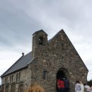 선한목자교회 이미지