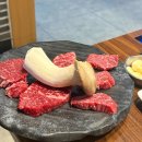 잘씹는치과의원 이미지