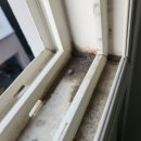 깔끄미 | 깔끄미언니 부산입주청소후기, 믿고 맡기는 청소업체