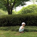 제주플로라 이미지
