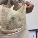 웰니스동물병원(롯데월드점) 이미지