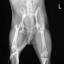 탕정동물의료센터 이미지