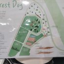 숲속애견샵 이미지